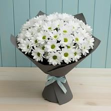 Букет цветов из:  Хризантемы в Осаново-Дубовое