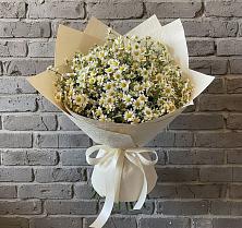 Букет цветов из:  Ромашки #REPLACE_PRED# Осаново-Дубовое