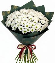 Букет цветов из:  Хризантемы в Осаново-Дубовое