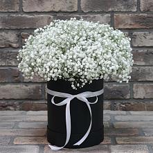 Цветочная композиция из Гипсофила в шляпной коробке в Осаново-Дубовое