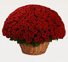 Премиум букет из: Розы в Осаново-Дубовое